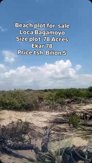 Beach Plot for Sale in Bagamoyo Kitane, Pwani (78 acre) Beach Plot for Sale in Bagamoyo Kitane, Pwani (78 acre)