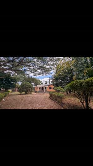 4 Bedrooms House for Rent in Mbwaruk, Kilimanjaro (2000 sqm) 4 Bedrooms House for Rent in Mbwaruk, Kilimanjaro (2000 sqm)