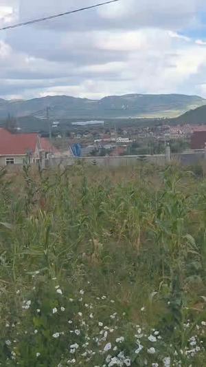 Kiwanja kinauzwa Iyumbu West, Dodoma sqm 570