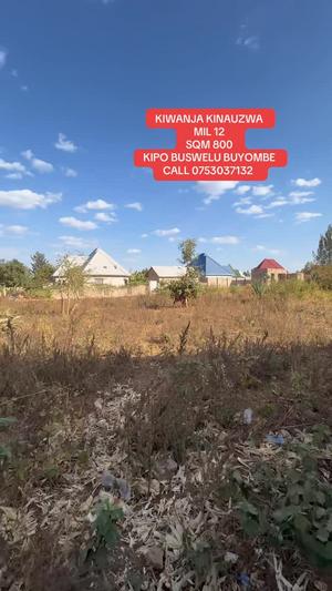 Kiwanja kinauzwa Mwanza sqm 800 Kiwanja kinauzwa Mwanza sqm 800
