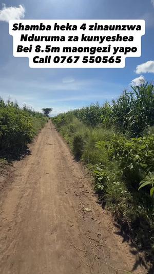Farm for sale in Arusha acre 4