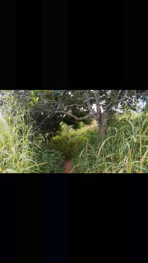 Shamba linauzwa Kwang'andu, Mbwewe, Bagamoyo, Pwani acre 20