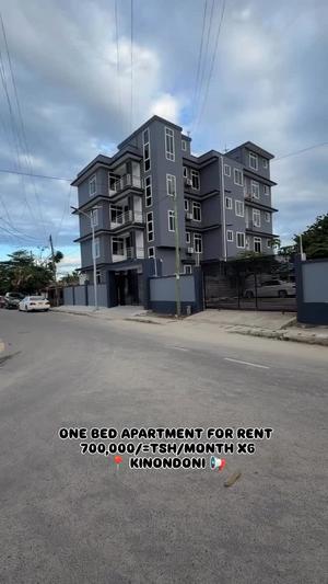Apartment ya chumba kimoja inapangishwa Kinondoni Mango Garden, Dar Es Salaam Apartment ya chumba kimoja inapangishwa Kinondoni Mango Garden, Dar Es Salaam