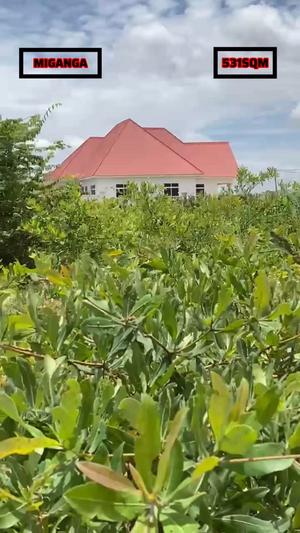 Kiwanja kinauzwa Miganga, Dodoma sqm 531