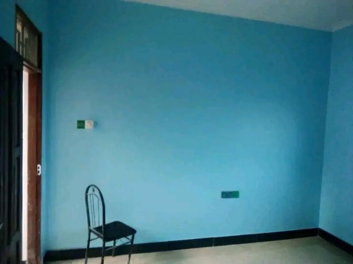 media -5
