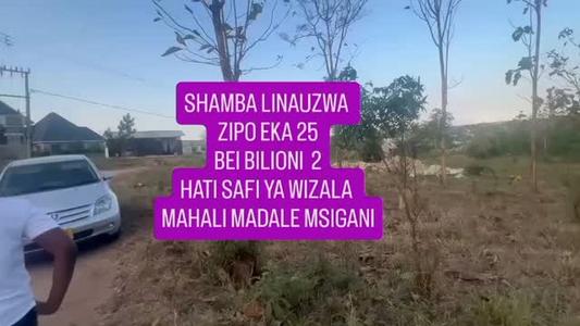 Shamba linauzwa Madale Msigani, Dar Es Salaam (25 acre) Shamba linauzwa Madale Msigani, Dar Es Salaam (25 acre)