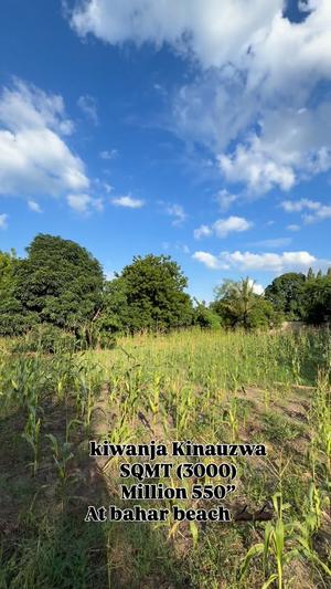 Kiwanja kinauzwa Bahar Beach, Dar Es Salaam (3000 sqm)