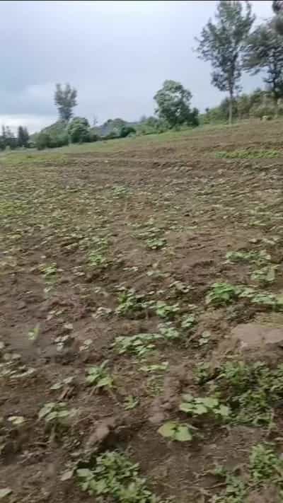 Kiwanja kinauzwa Ngaramtoni, Arusha (10000 sqm)