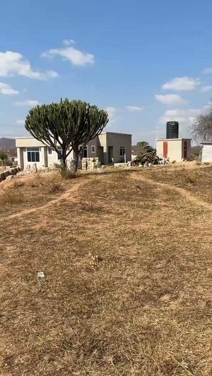 Kiwanja kinauzwa Chidachi Ntyuka, Dodoma Kiwanja kinauzwa Chidachi Ntyuka, Dodoma