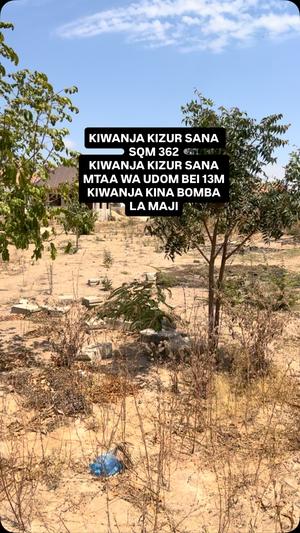 Kiwanja kinauzwa UDOM, Dodoma (362 sqm) Kiwanja kinauzwa UDOM, Dodoma (362 sqm)