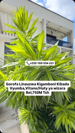 Nyumba ya vyumba vitano inauzwa Kigamboni Kibada, Dar Es Salaam (1200 sqm) Nyumba ya vyumba vitano inauzwa Kigamboni Kibada, Dar Es Salaam (1200 sqm)