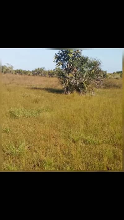 Plot for sale in Mkuranga, Pwani
