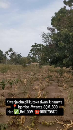 Beach Plot kinauzwa Igombe, Mwanza Beach Plot kinauzwa Igombe, Mwanza