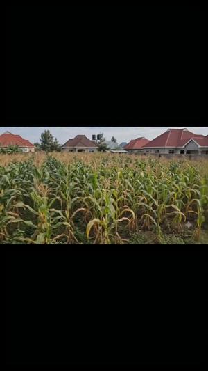 Residential Plot for Sale in Moshono Laizer, Arusha (1200 sqm)