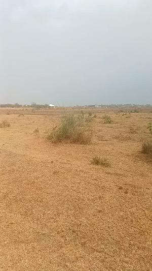 Farm for sale in Misungwi, Mwanza acre 2.5 Farm for sale in Misungwi, Mwanza acre 2.5
