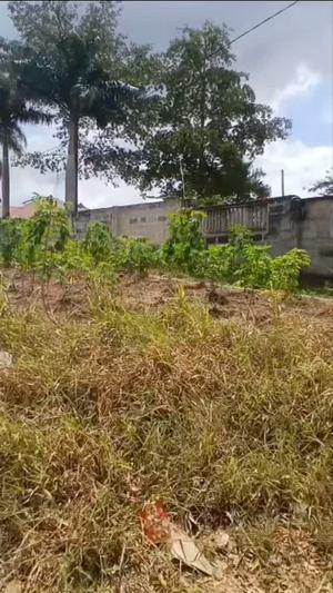 Kiwanja kinauzwa Madale, Dar Es Salaam (3226 sqm) Kiwanja kinauzwa Madale, Dar Es Salaam (3226 sqm)