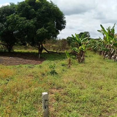 Kiwanja kinauzwa Mikongeni, Kibaha, Pwani (400 sqm) Kiwanja kinauzwa Mikongeni, Kibaha, Pwani (400 sqm)
