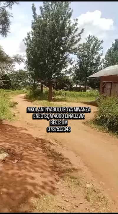 Kiwanja kinauzwa Mkolani Nyabulugoya, Mwanza sqm 4000