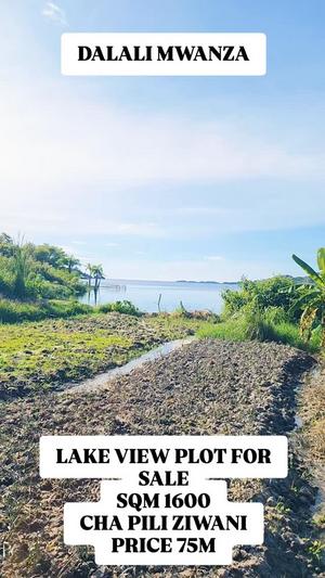 Kiwanja kinauzwa Nyegezi Luchelele, Mwanza sqm 1600
