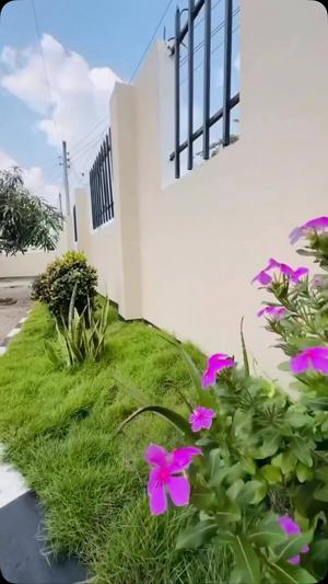 Nyumba ya vyumba vinne inapangishwa Mikocheni, Dar Es Salaam Nyumba ya vyumba vinne inapangishwa Mikocheni, Dar Es Salaam