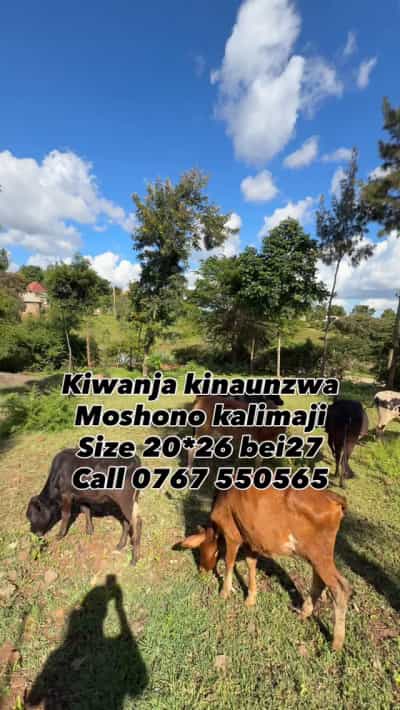 Plot for sale in Moshono Kalimaji, Arusha sqm 520