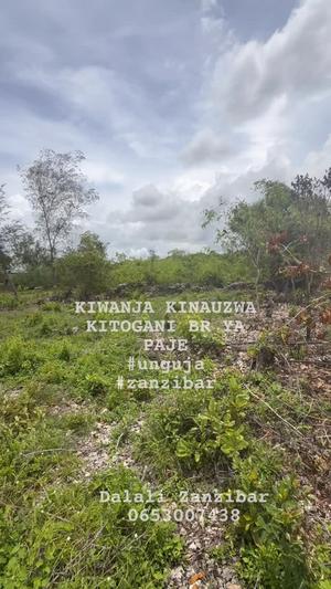 Residential Plot for Sale in Kitogani, Zanzibar - Unguja South (2256 sqm) Residential Plot for Sale in Kitogani, Zanzibar - Unguja South (2256 sqm)