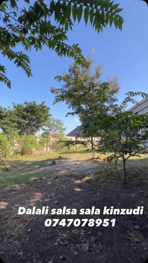 Nyumba ya vyumba vitatu inauzwa Goba Kinzudi, Dar Es Salaam (900 sqm) Nyumba ya vyumba vitatu inauzwa Goba Kinzudi, Dar Es Salaam (900 sqm)