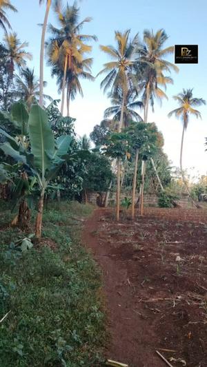 Shamba linauzwa Miwani Uchukuni, Zanzibar (3 acre) Shamba linauzwa Miwani Uchukuni, Zanzibar (3 acre)