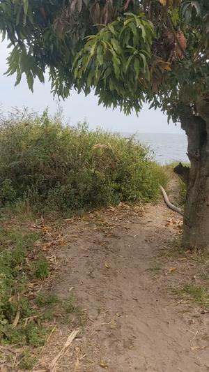 Beach Plot kinauzwa Igombe, Mwanza (2000 sqm) Beach Plot kinauzwa Igombe, Mwanza (2000 sqm)