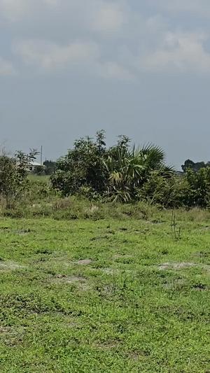Viwanja vinauzwa Kibada, Dar Es Salaam Viwanja vinauzwa Kibada, Dar Es Salaam