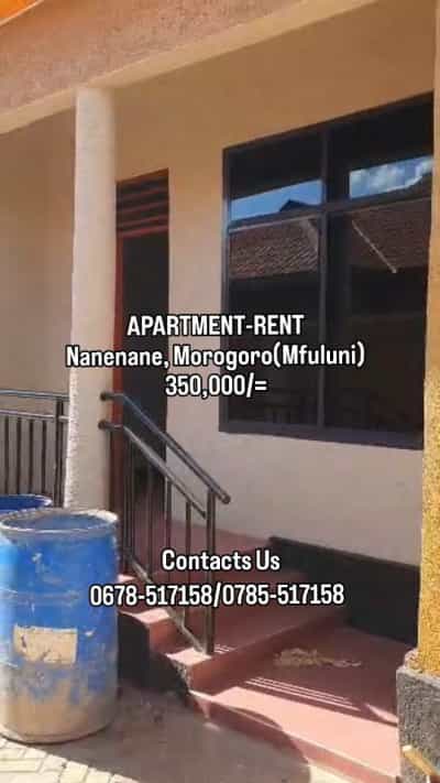 2 Bedrooms Apartment for Rent in Nanenane Mfuluni, Dodoma
