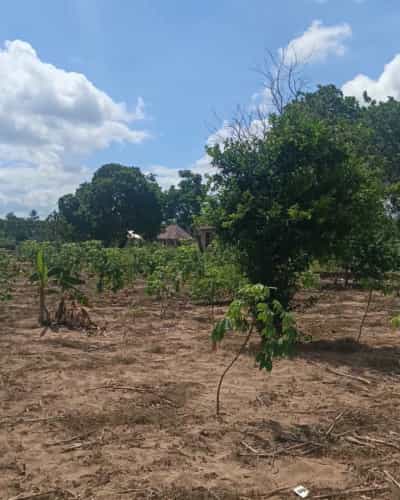 Viwanja vinauzwa Kibamba, Dar Es Salaam