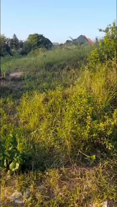 Kiwanja kinauzwa Mbezi, Dar Es Salaam