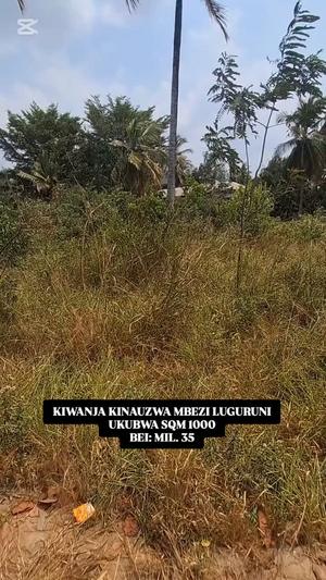 Residential Plot for Sale in Mbezi Luguruni, Dar Es Salaam (1000 sqm) Residential Plot for Sale in Mbezi Luguruni, Dar Es Salaam (1000 sqm)