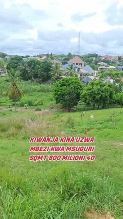 Kiwanja kinauzwa Mbezi kwa Msuguri, Dar Es Salaam (800 sqm) Kiwanja kinauzwa Mbezi kwa Msuguri, Dar Es Salaam (800 sqm)