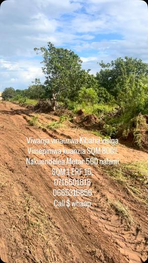 Viwanja vinauzwa Kibaha Visiga, Pwani sqm 800