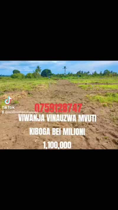 Viwanja vinauzwa Tambalale, Tabora