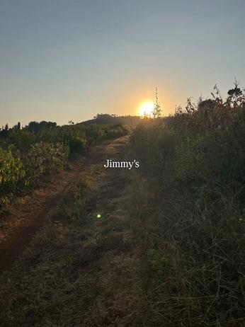 Farm for Sale in Oremiti, Losirwa - Mto wa Mbu, Arusha (6 acre) Farm for Sale in Oremiti, Losirwa - Mto wa Mbu, Arusha (6 acre)