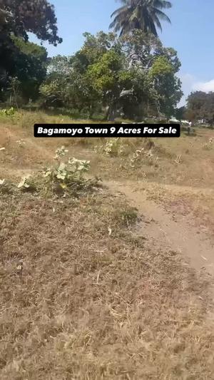 Kiwanja (Commercial Plot) kinauzwa Bagamoyo, Pwani (9 acre) Kiwanja (Commercial Plot) kinauzwa Bagamoyo, Pwani (9 acre)