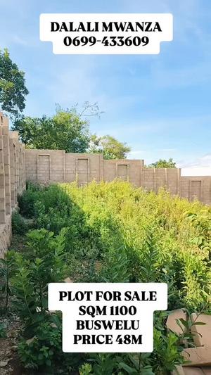 Plot for sale in Buswelu Shibula, Mwanza sqm 1100 Plot for sale in Buswelu Shibula, Mwanza sqm 1100