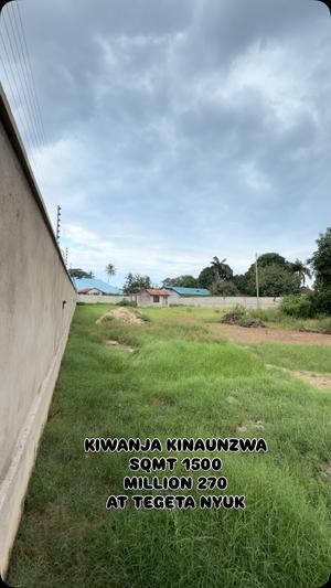 Kiwanja kinauzwa Tegeta Nyuki, Dar Es Salaam sqm 1500 Kiwanja kinauzwa Tegeta Nyuki, Dar Es Salaam sqm 1500