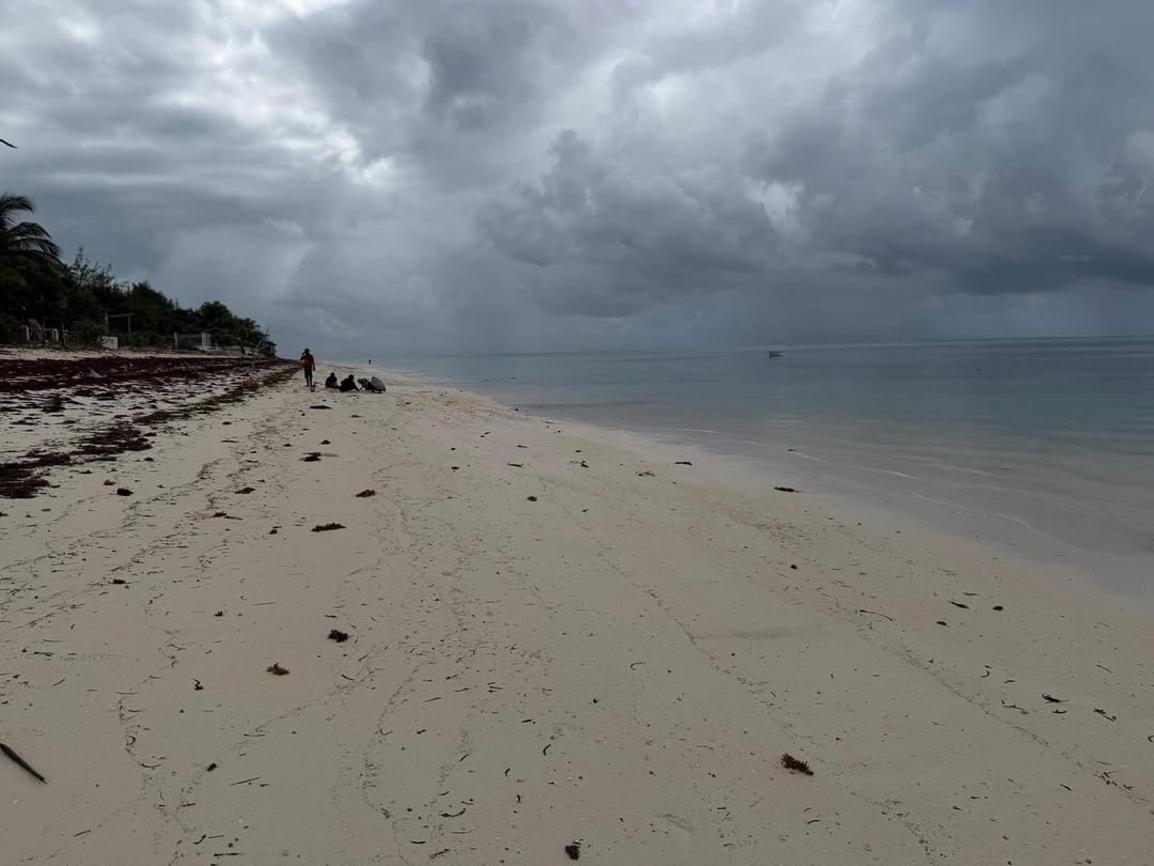 media -2 media -2