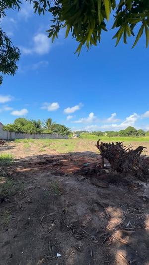 Viwanja vinauzwa Mwinongozo, Kigamboni, Dar Es Salaam