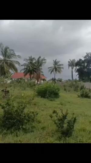Kiwanja kinauzwa Bunju B, Dar Es Salaam (16606 sqm) Kiwanja kinauzwa Bunju B, Dar Es Salaam (16606 sqm)