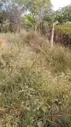 3 Bedrooms House for Sale in Kibamba, Dar Es Salaam (750 sqm) 3 Bedrooms House for Sale in Kibamba, Dar Es Salaam (750 sqm)