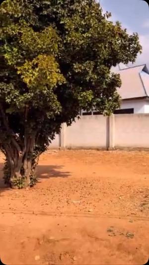 Kiwanja (Commercial Plot) kinauzwa Ostabey - Makulu, Dodoma (904 sqm)