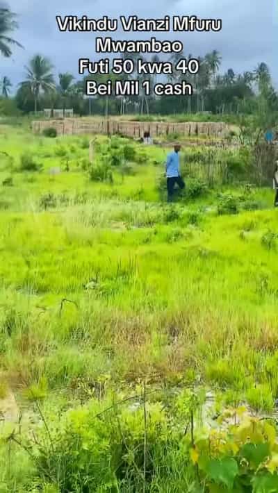 Kiwanja kinauzwa Vikindu Vianzi Mfurumwambao, Pwani (185.8064 sqm)