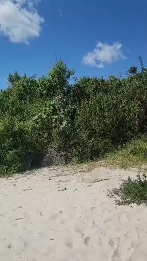 Beach Plot kinauzwa Kigamboni, Kidete, Dar Es Salaam (16187 sqm) Beach Plot kinauzwa Kigamboni, Kidete, Dar Es Salaam (16187 sqm)