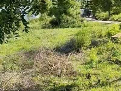 Kiwanja kinauzwa Salasala, Dar Es Salaam (900 sqm) Kiwanja kinauzwa Salasala, Dar Es Salaam (900 sqm)