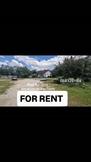 House for Rent in Mikocheni, Dar Es Salaam House for Rent in Mikocheni, Dar Es Salaam